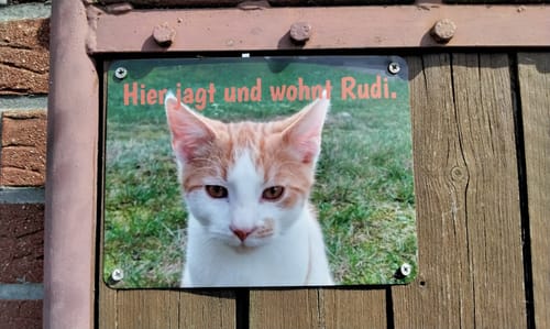 Customer photo review of Katzen-Türschild mit Foto & Wunschtext