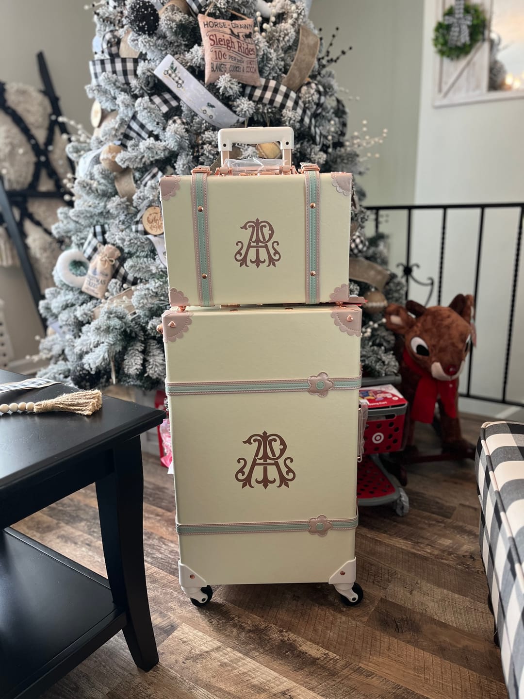 Customer photo review of (United States) Minimalism Large Check-in Set - Train Case
