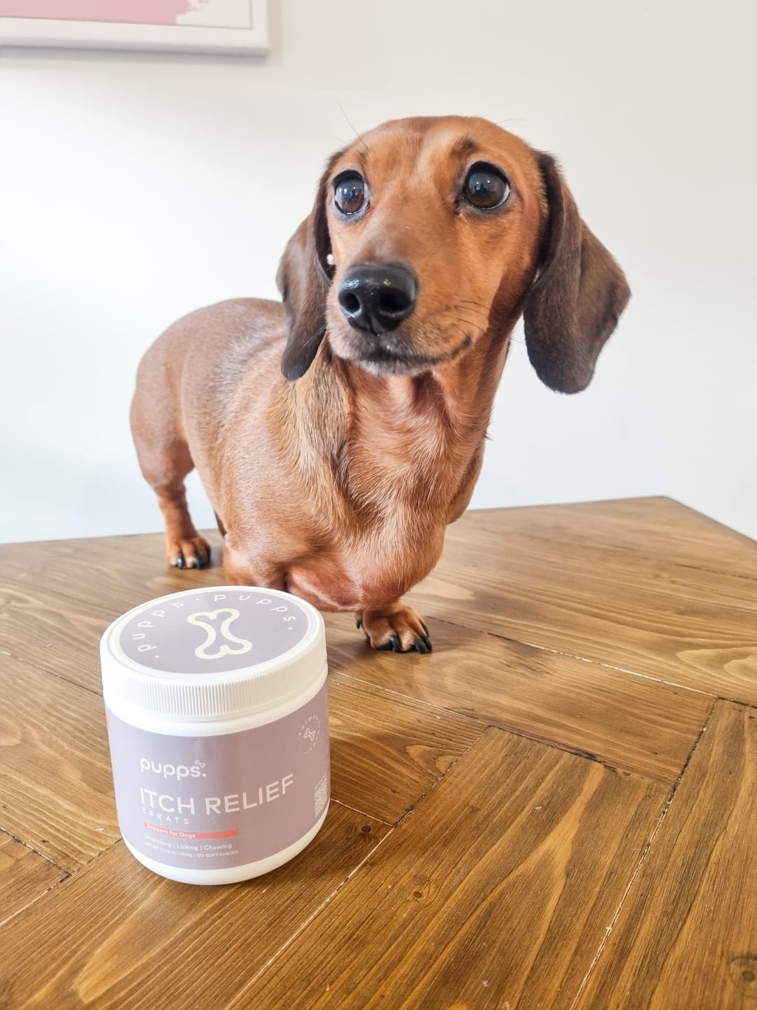 Customer photo review of Itch Relief Treats