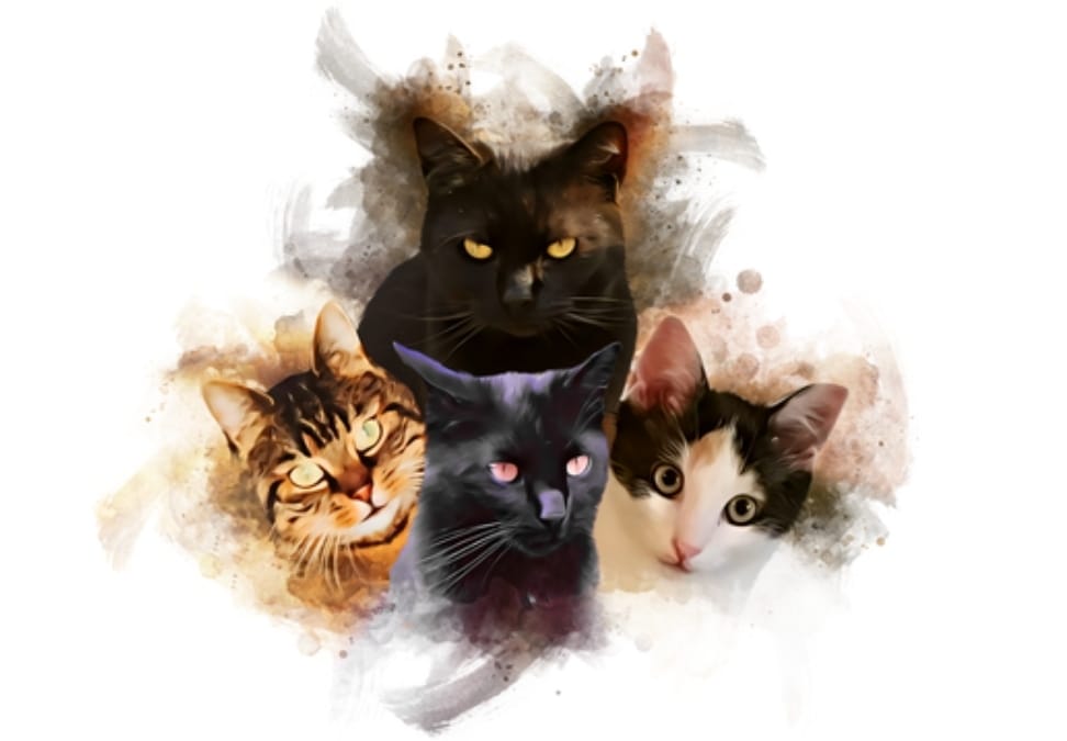 Customer photo review of Deine Katze als Aquarell Tierportrait | Geschenk für Katzenliebhaber