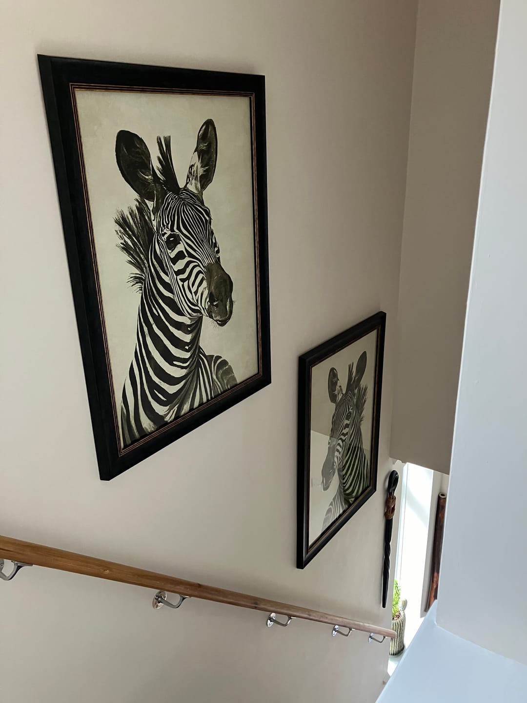 Customer photo review of ZEBRA ILUSTRATION