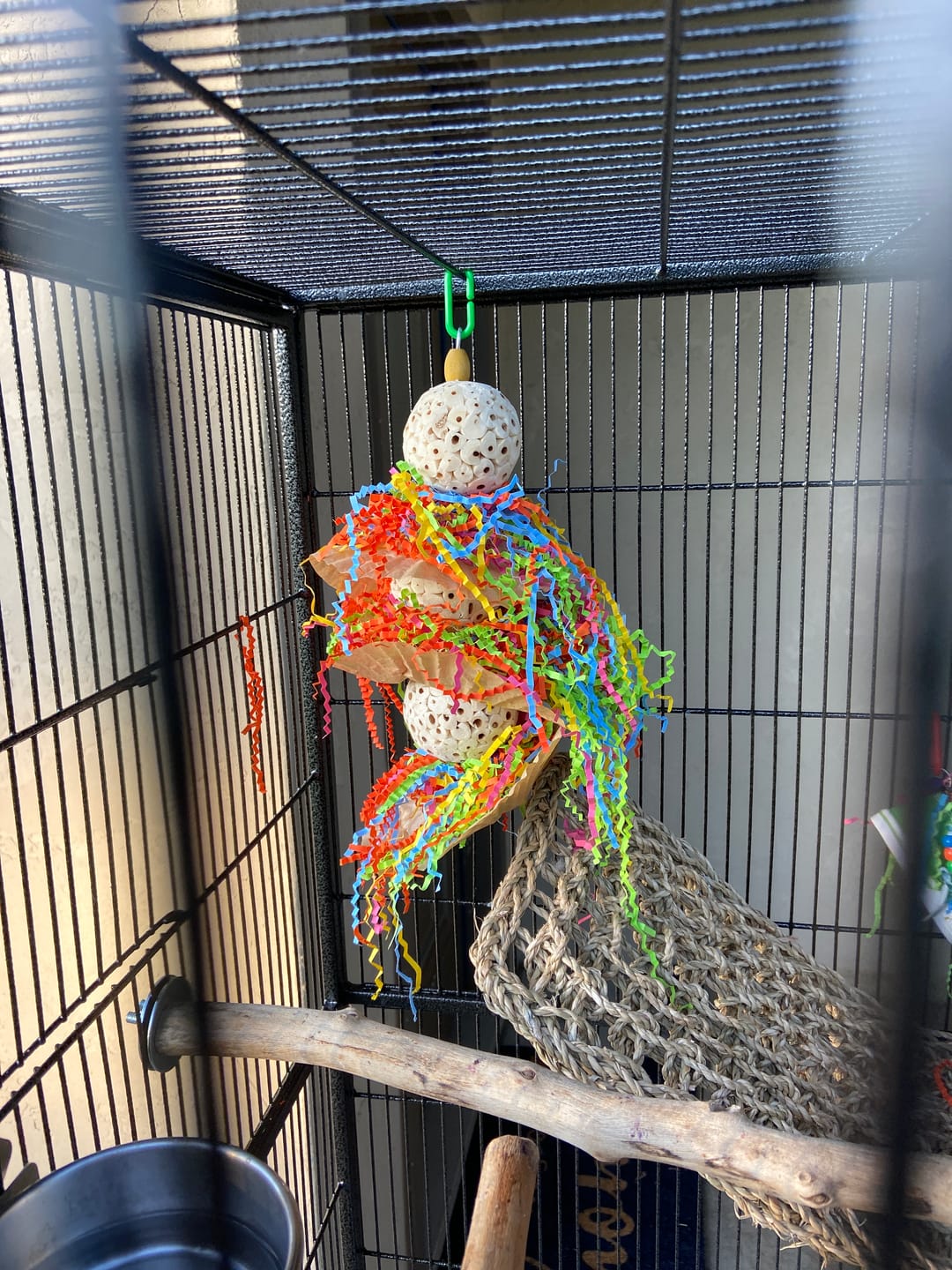 Customer photo review of Triple Scoop - Cheep Thrills Bird Toys