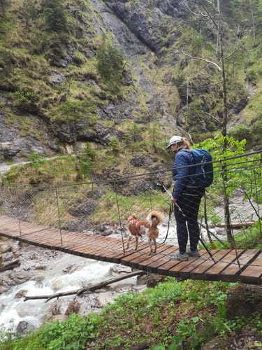 Customer photo review of Tofana Eco