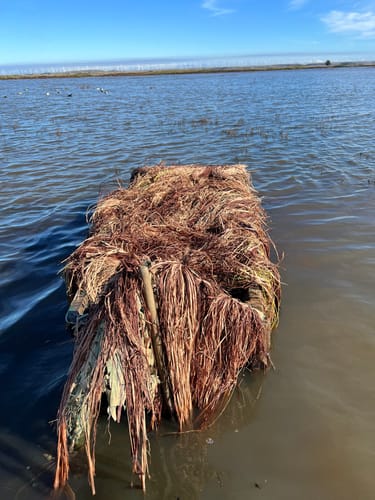 Customer photo review of Hunting Blind Raffia Grass (Pack)