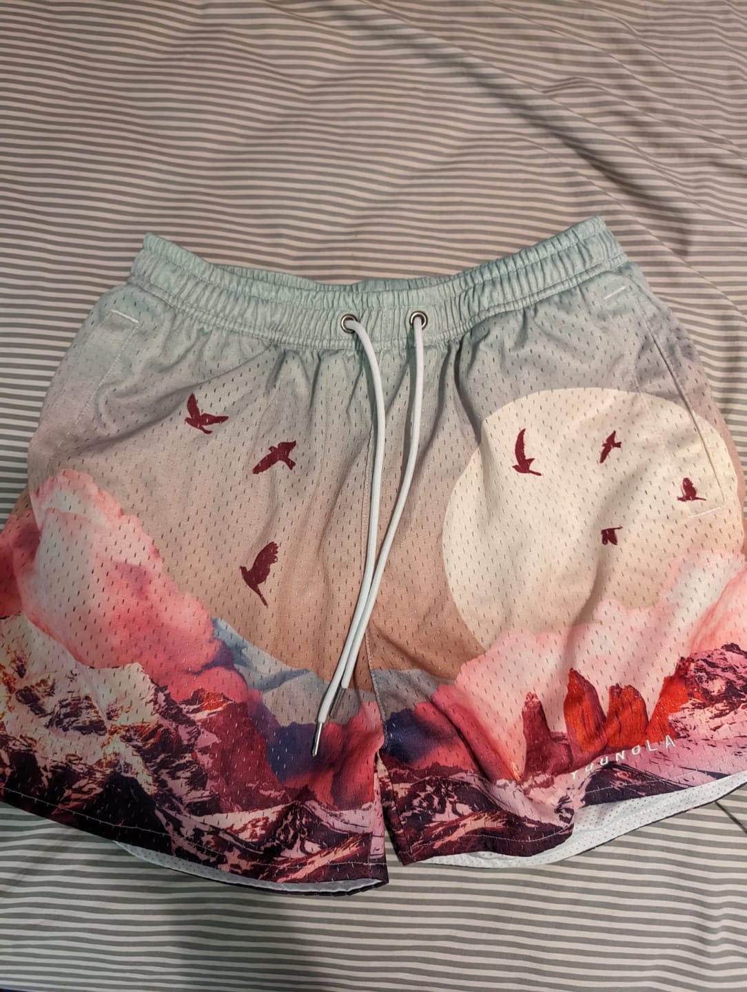 Customer photo review of 141 The Block Party Shorts