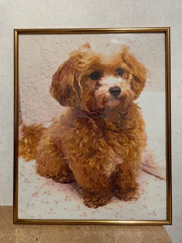 Customer photo review of 5D Diamond Painting AB Steine Colorful Parrot