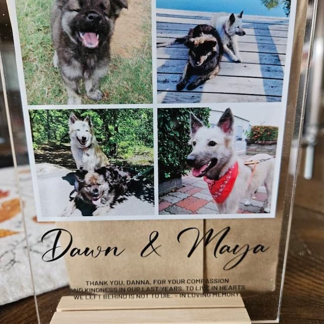 Customer photo review of Personalized Photo Plaque Print - Bestfriend Gift Gift for Her Gift for Him Photo Collage Best Friend Gifts Custom Couples Gift Gifts for wife