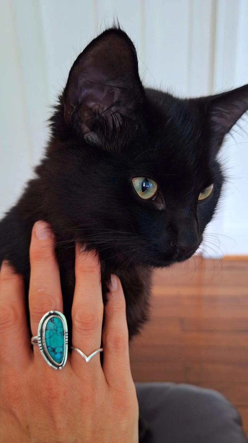 Customer photo review of Navajo Deep Green Turquoise Ring