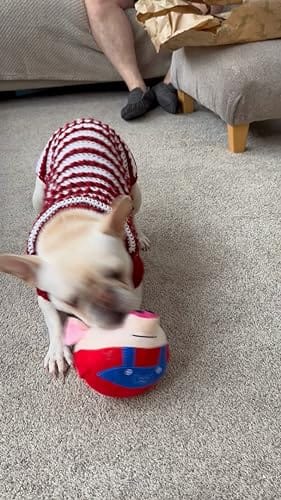 Customer photo review of Bouncing Piggy™ - Interactive Dog Toy