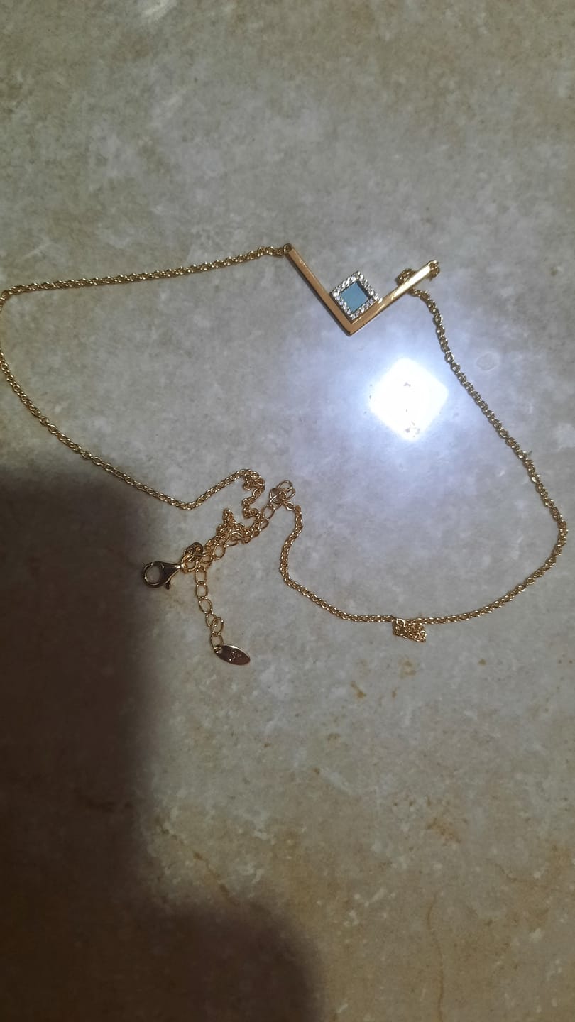 Customer photo review of V Shiny Necklace