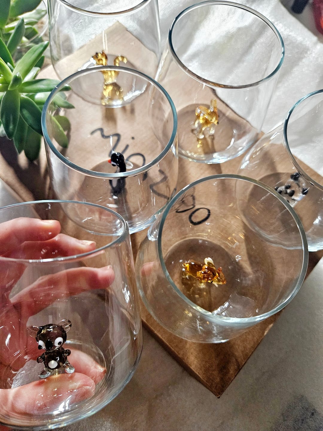 Customer photo review of Planet Set of 6