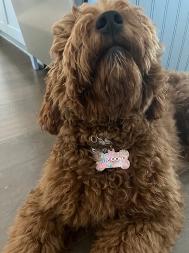 Customer photo review of I'd like to add a phone number!