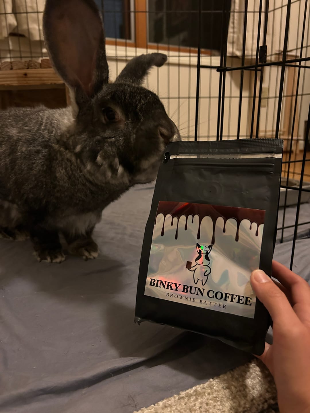 Customer photo review of Brownie Batter (Ground)