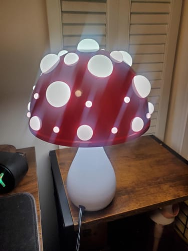 Customer photo review of THE MELITA LAMP