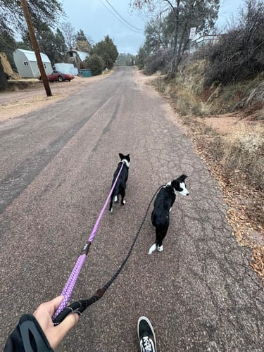 Customer photo review of FIDA Durable Slip Lead