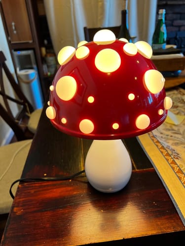 Customer photo review of THE MELITA LAMP