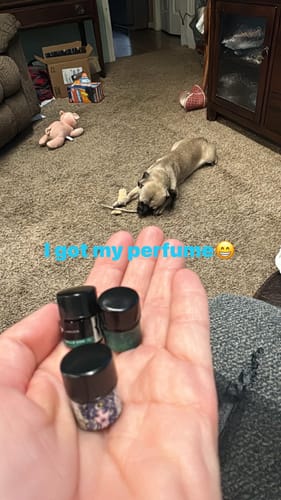 Customer photo review of Set of 5 1ml sample vials