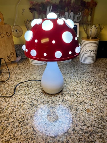 Customer photo review of THE MELITA LAMP