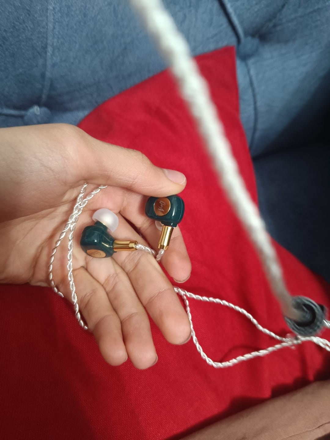 Customer photo review of QoA Gimlet IEM Kulaklık