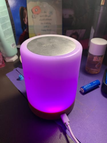 Customer photo review of Friendship Lamp
