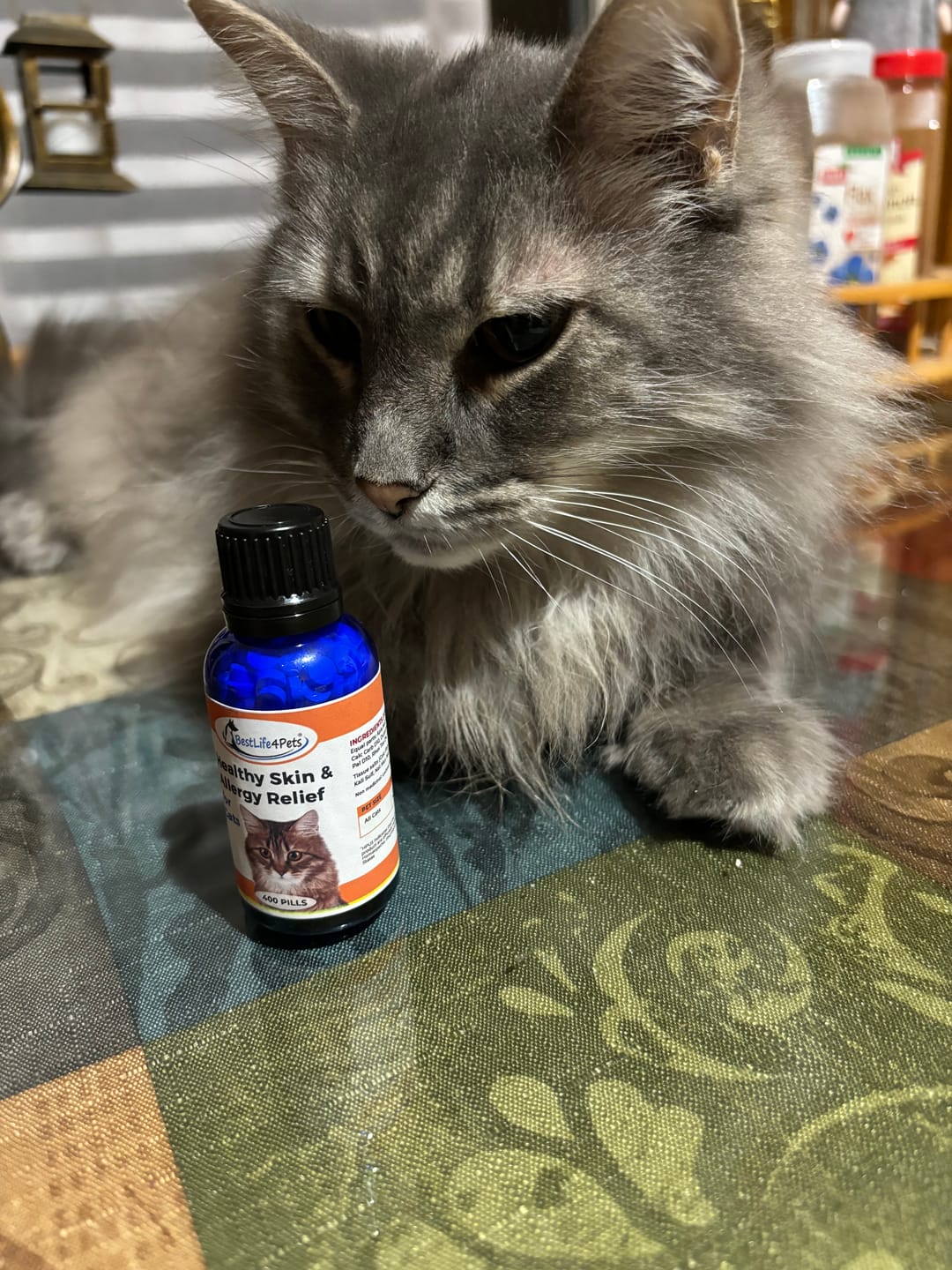 Customer photo review of Healthy Skin for Cats - Cat Miliary Dermatitis, Skin Allergy & Cat Scabs Remedy