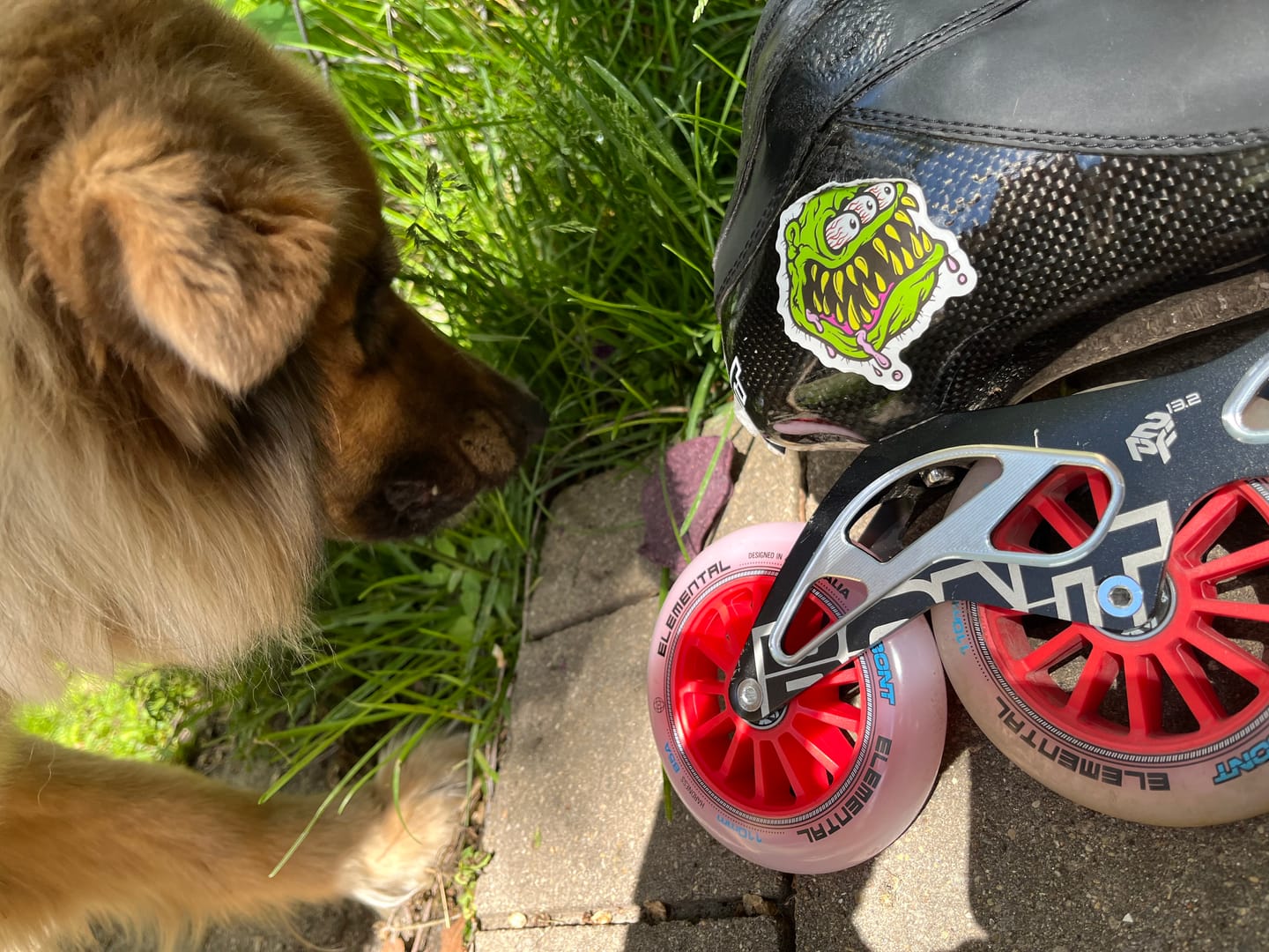 Customer photo review of BONT PRO Inline Skate Bearings