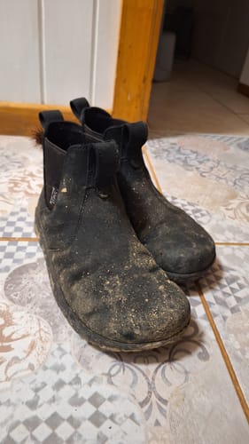 Customer photo review of CHELSEA BOOT WATERPROOF OBSIDEAN (UNISEX)