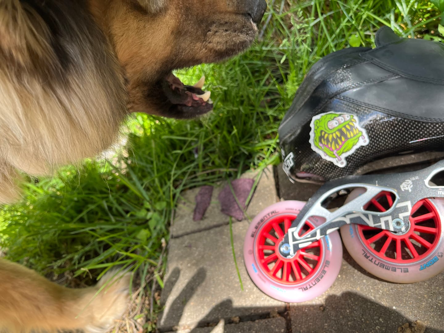 Customer photo review of Elemental Inline Skate Wheel