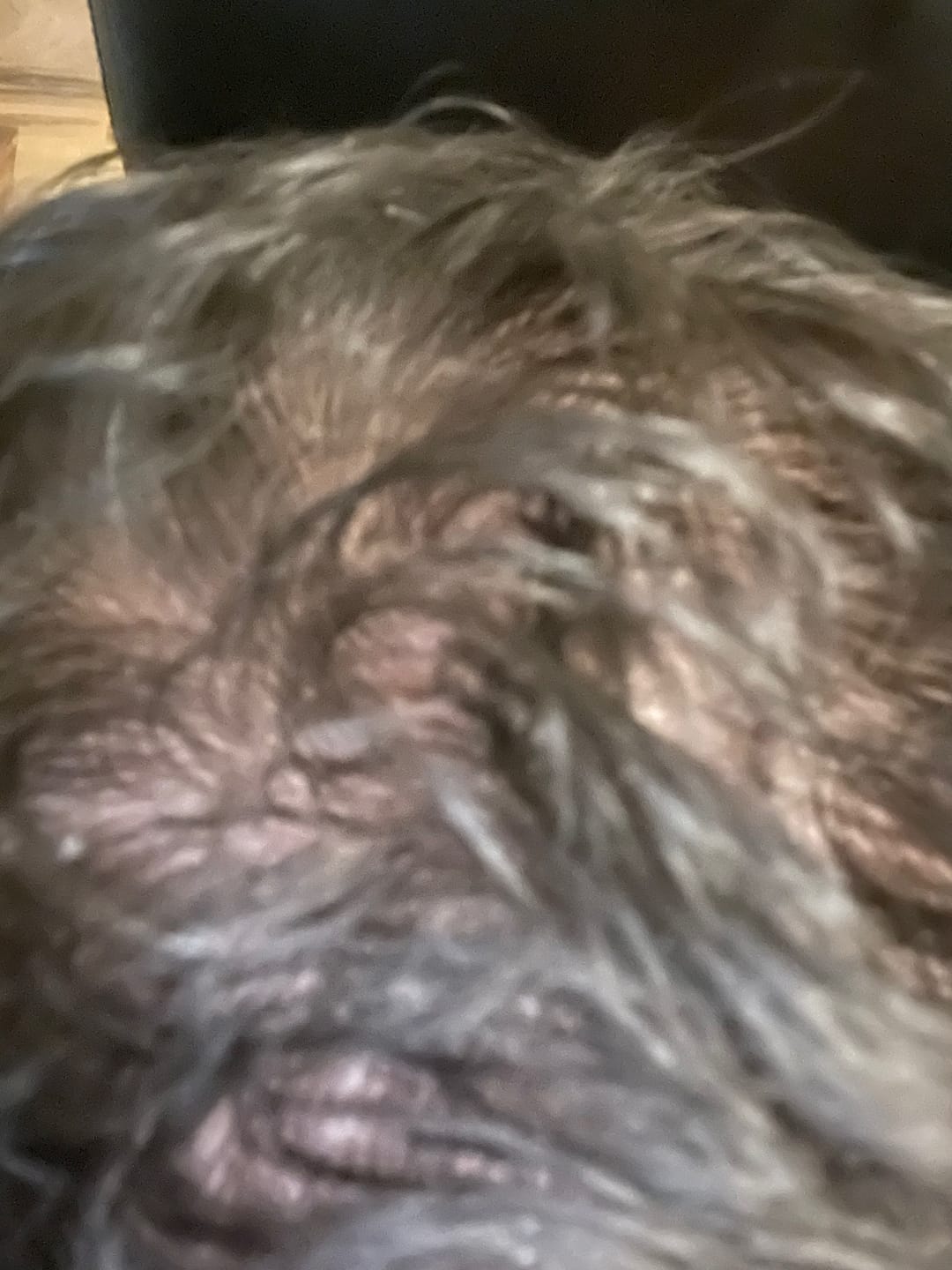 Customer photo review of TRÈS[S] GROWN - Hair Growth Serum