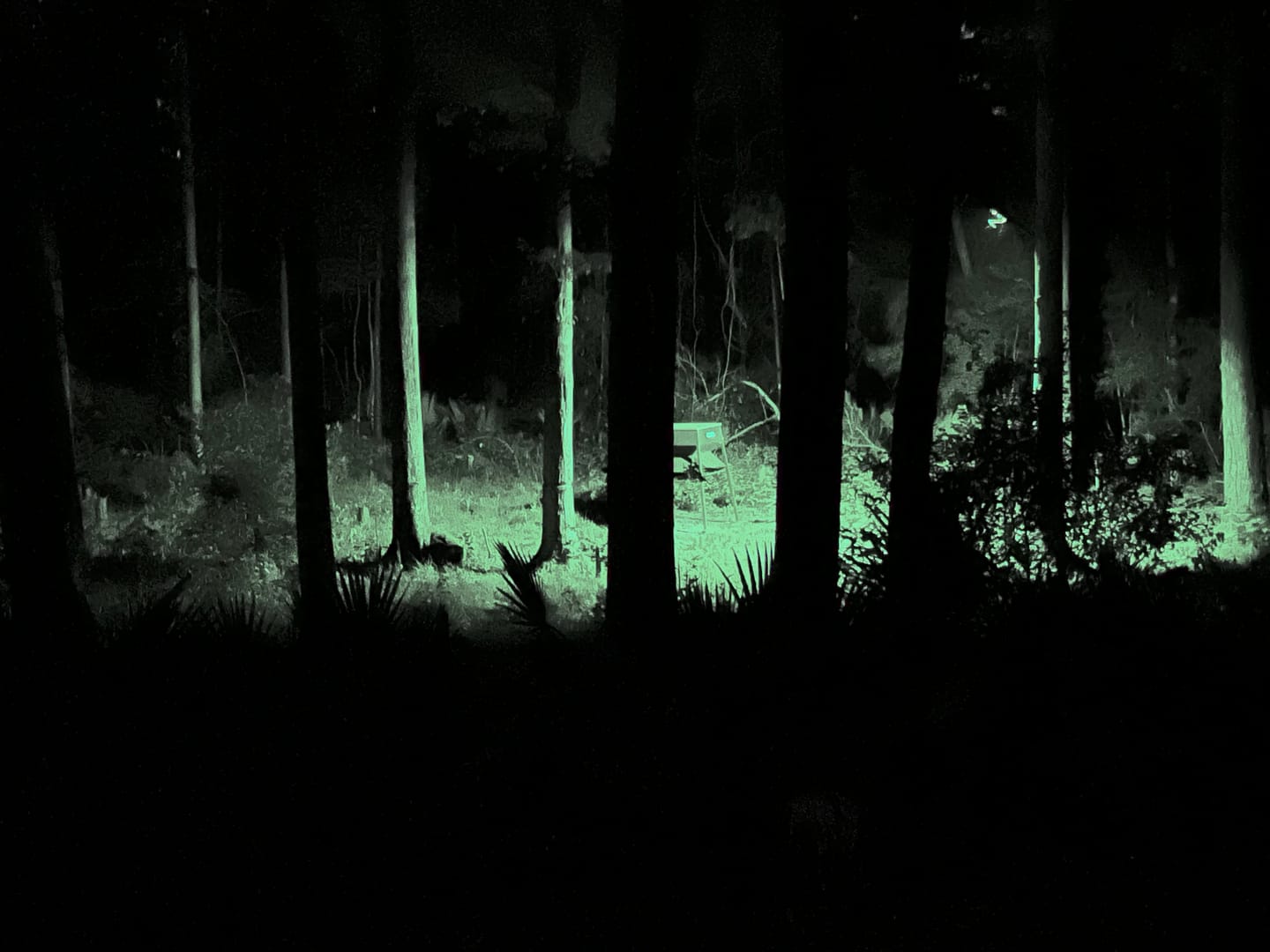 Customer photo review of Solar Green Light for Hunting Hogs Deer,Fish light -15,000lumens