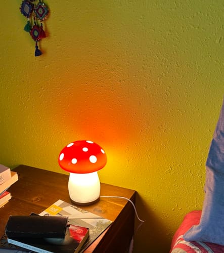 Customer photo review of THE MELITA LAMP