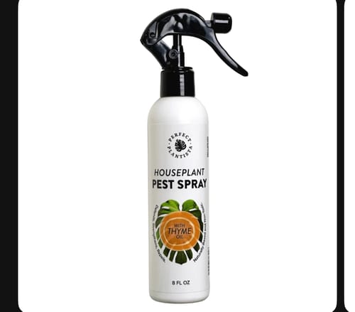 Customer photo review of Houseplant Pest Spray