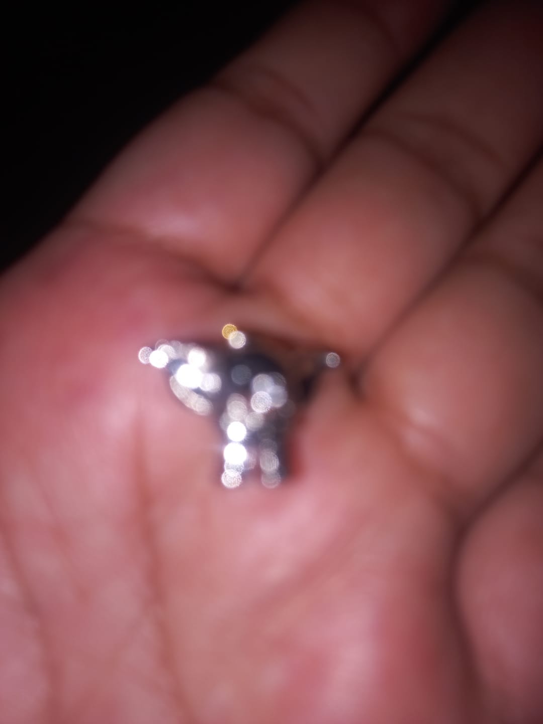 Customer photo review of Charm Paris
