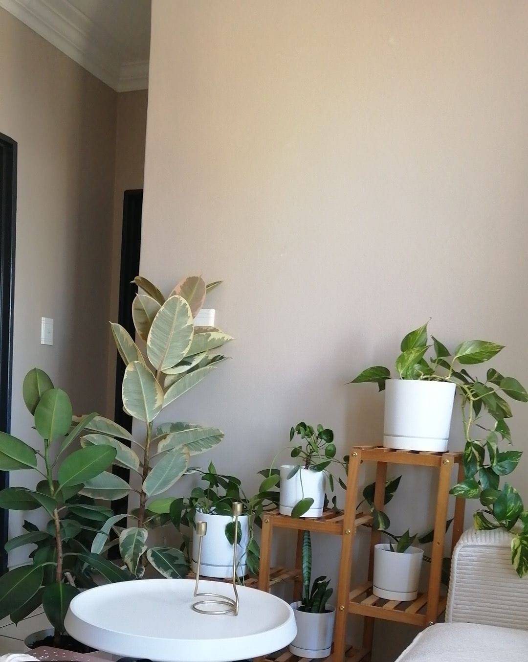 Customer photo review of Tubo Planter