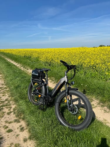 Customer photo review of Lankeleisi MG600 Plus 1000W Bafang Motor 26" Fat Bike All Terrain SUV E-Bike 48V 20Ah Samsung Battery