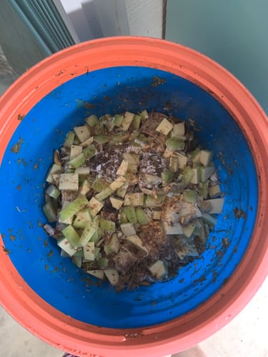 Customer photo review of BierKashi Composting System (with BierKashi Bokashi)