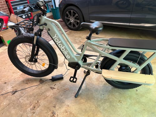 Customer photo review of Yoto Lion Electric Family Cargo Bike