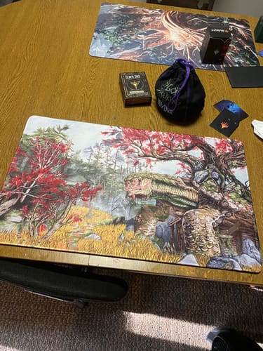 Customer photo review of Custom Playmat (24" x 14")