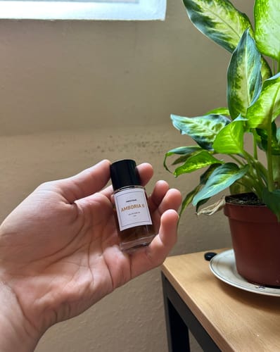 Customer photo review of AMBORIA II