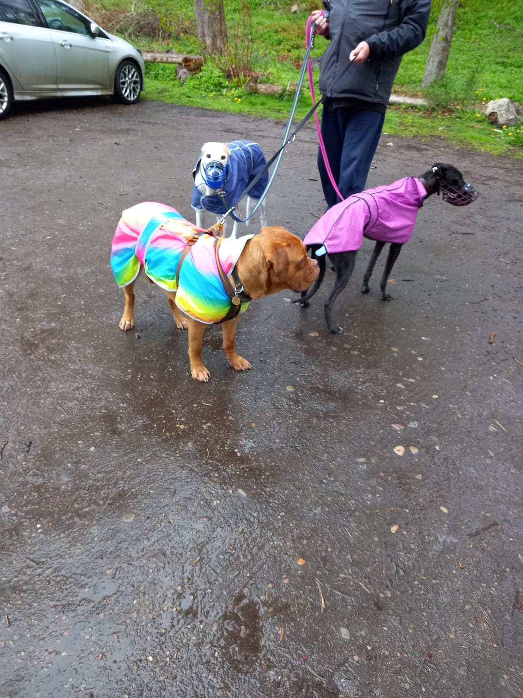 Customer photo review of Rainbow Water Resistant Ripstop Fabric
