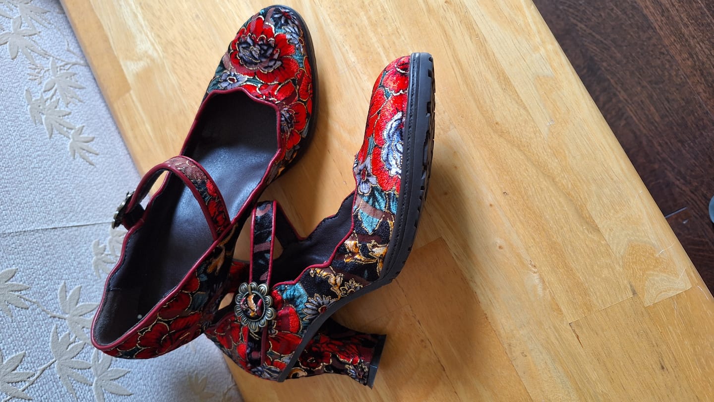 Customer photo review of Retro Handmade Embroidered Pumps