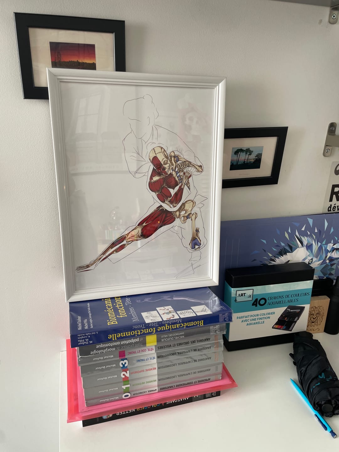 Customer photo review of Écorché Anatomique du Judo