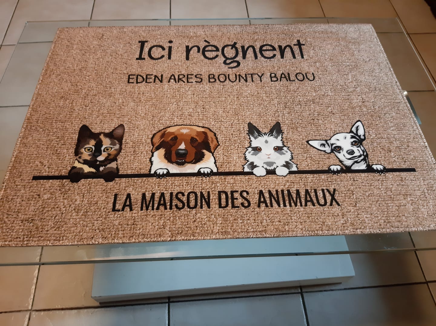 Customer photo review of Tous mes amis à poils - Paillasson personnalisé
