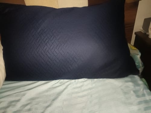 Customer photo review of Super Soft Shredded Memory Foam Pillow