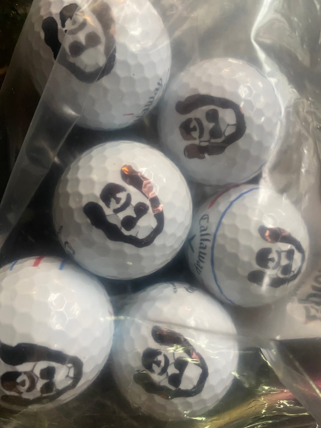 Customer photo review of Dude