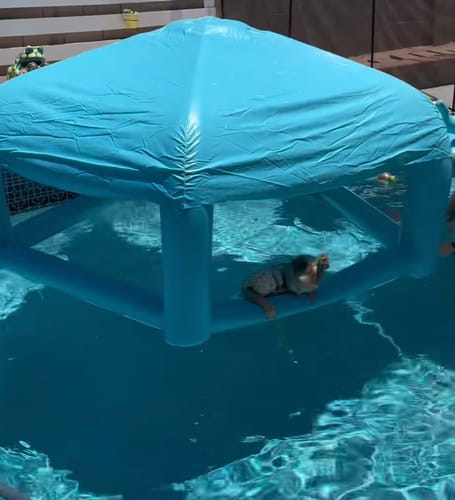 Customer photo review of MiniPump - wiederaufladbare Luftpumpe