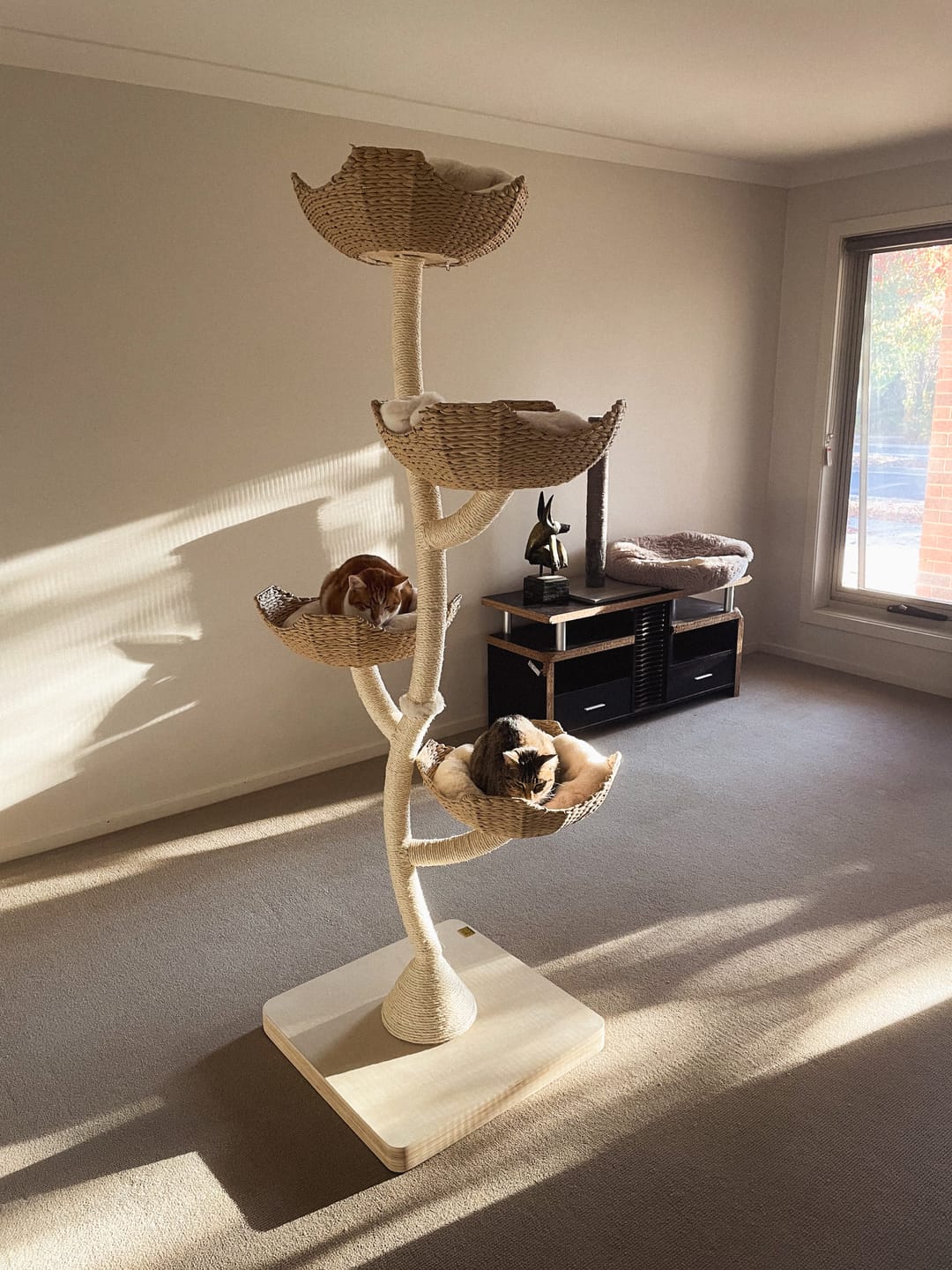 Customer photo review of MICHU Ivy Cat Tower Deluxe 4-Tier Designer Tall Cat Tree