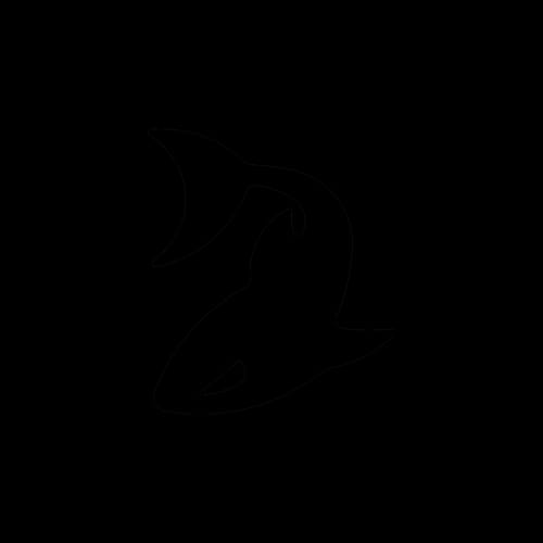 Customer photo review of Special Bundle One-Time Offer