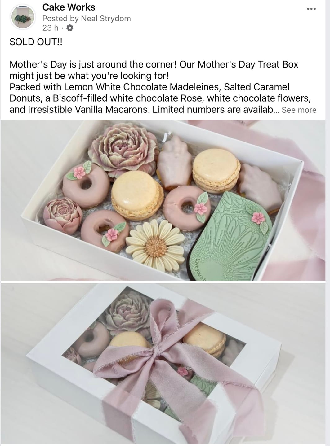 Customer photo review of Vanilla Bean Macarons (12 or 24)