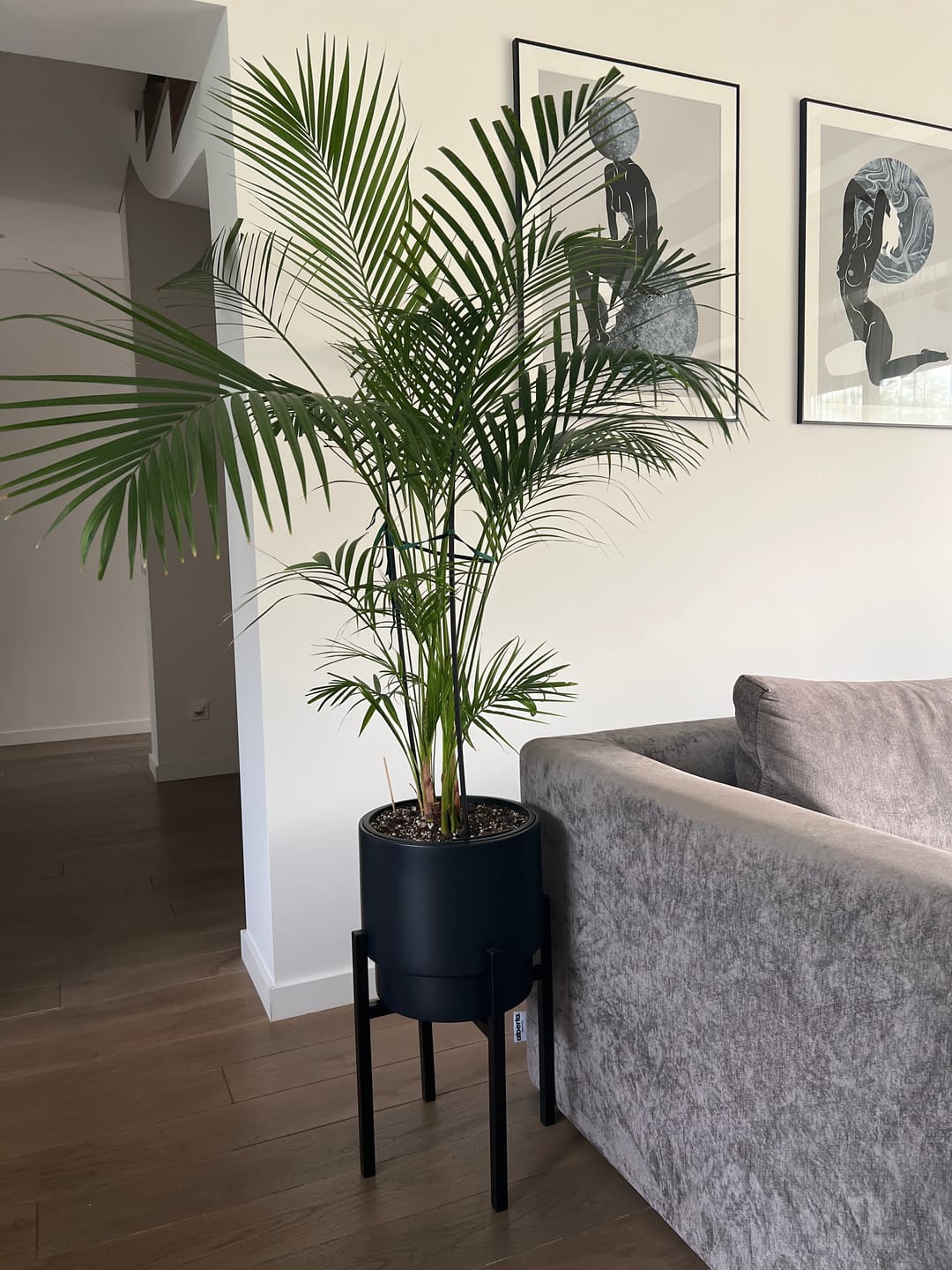 Customer photo review of Vazonų stovai GELA
